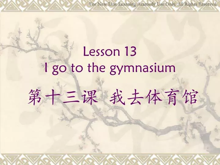 lesson 13 i go to the gymnasium