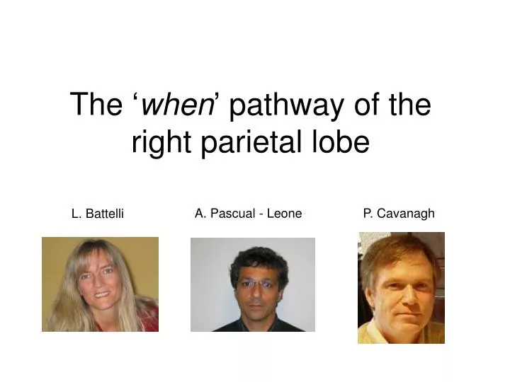the when pathway of the right parietal lobe