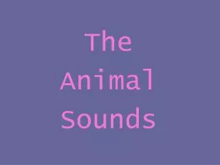 The Animal Sounds