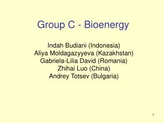 Group C - Bioenergy