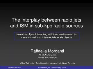 The interplay between radio jets and ISM in sub-kpc radio sources