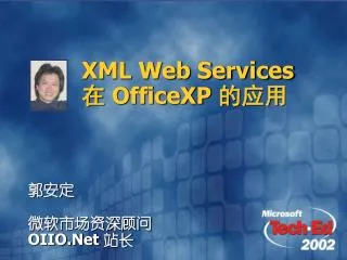 xml web services officexp