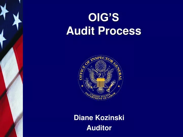 oig s audit process