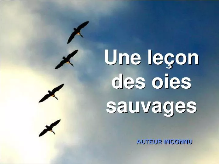 une le on des oies sauvages