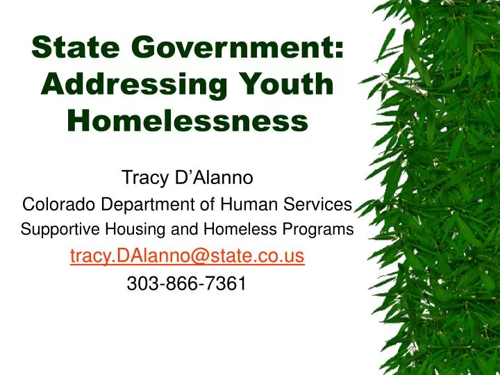 state government addressing youth homelessness