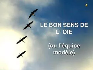 le bon sens de l oie ou l quipe mod le