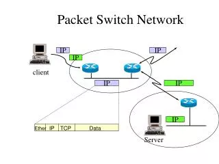 Packet Switch Network