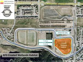 RP3 Created Wetlands Habitat
