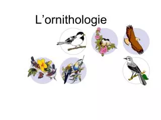 l ornithologie