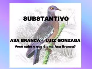 substantivo