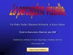 La perception visuelle - slide 1