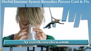 Herbal Immune System Remedies Prevent Cold, Flu