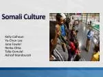 Somali Culture - slide 1