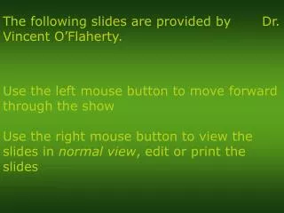 Use the left mouse button to move forward through the show