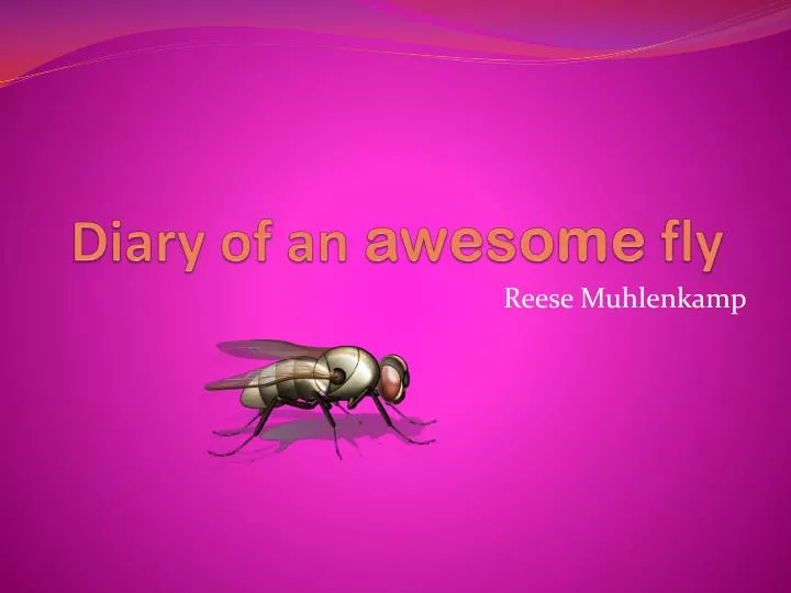 diary of an awesome fly