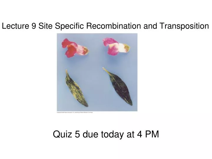 lecture 9 site specific recombination and transposition