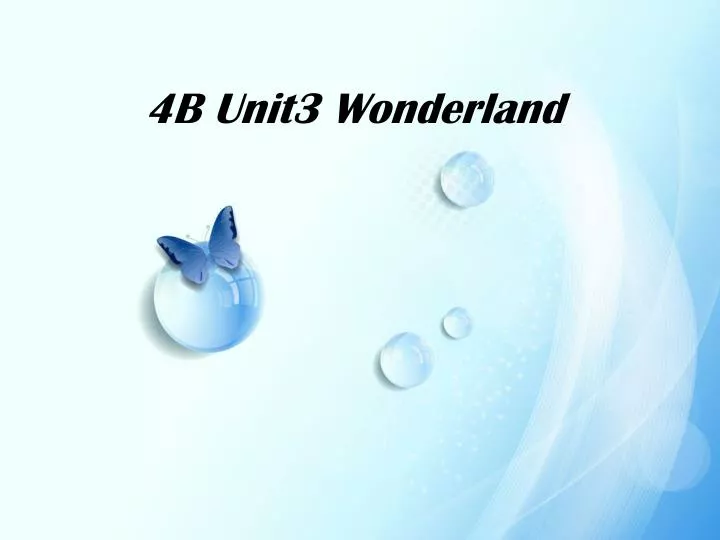 4b unit3 wonderland