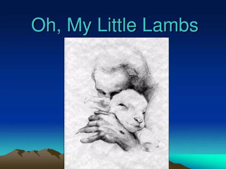 oh my little lambs