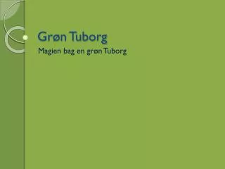 gr n tuborg