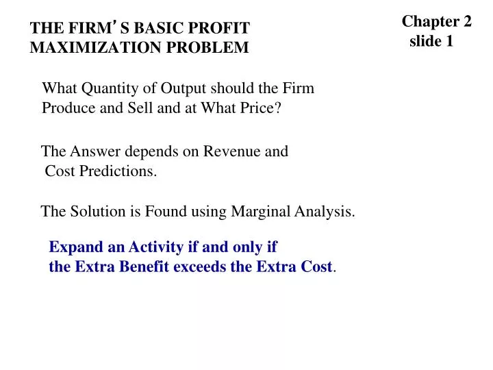 the firm s basic profit maximization problem