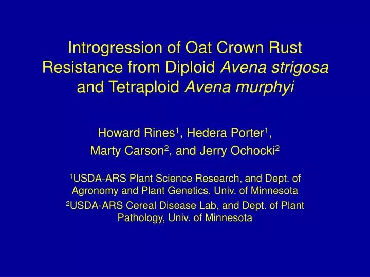 introgression of oat crown rust resistance from diploid avena strigosa and tetraploid avena murphyi