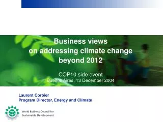 Business views on addressing climate change beyond 2012 COP10 side event