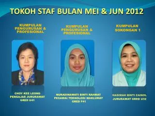 kumpulan pengurusan profesional