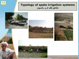 typology of spate irrigation systems