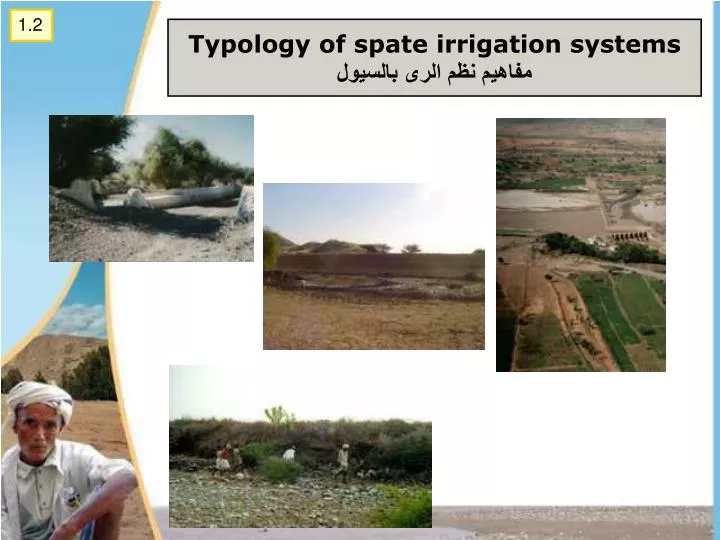 typology of spate irrigation systems