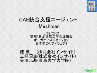 cae meshman