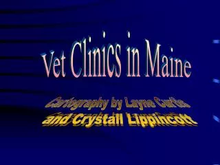 Vet Clinics in Maine