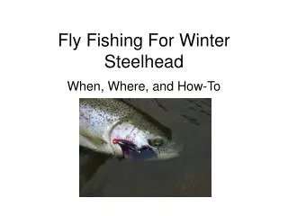 Fly Fishing For Winter Steelhead