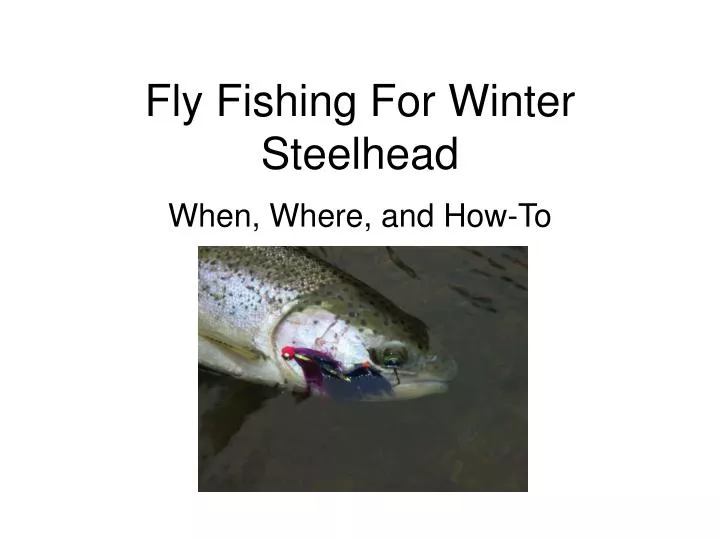 fly fishing for winter steelhead