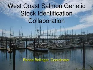 West Coast Salmon Genetic Stock Identification Collaboration