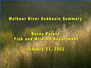 Malheur River Subbasin Summary Burns Paiute Fish and Wildlife Department January 23, 2002