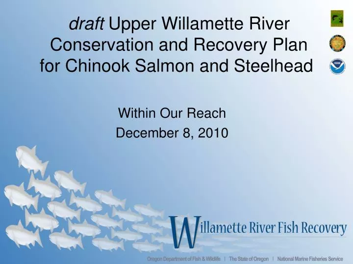 draft upper willamette river conservation and recovery plan for chinook salmon and steelhead