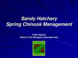 Sandy Hatchery Spring Chinook Management