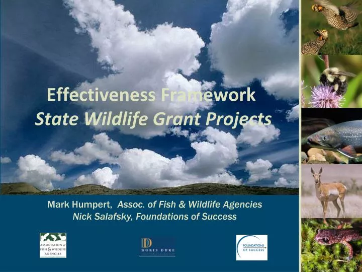 effectiveness framework state wildlife grant projects