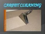 Carpet Cleaners Sydney - slide 1
