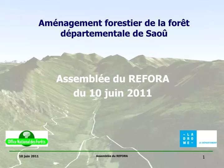 am nagement forestier de la for t d partementale de sao