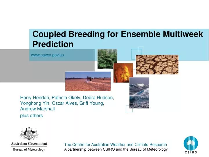 coupled breeding for ensemble multiweek prediction