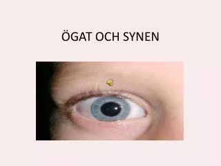gat och synen