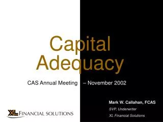 Mark W. Callahan, FCAS SVP, Underwriter XL Financial Solutions