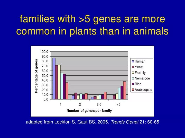 families with 5 genes are more common in plants than in animals