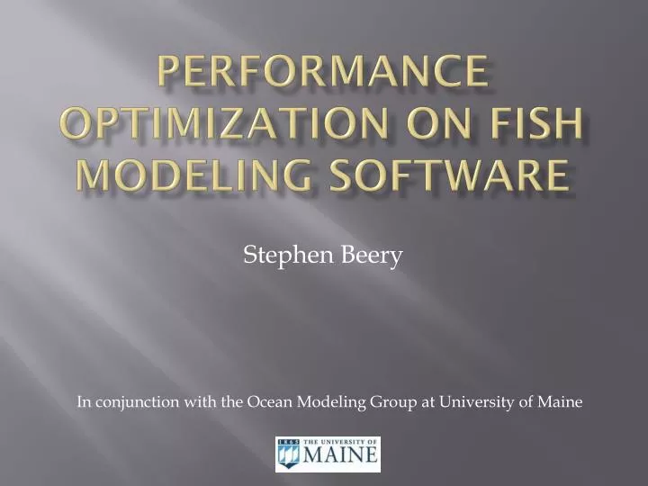 performance optimization on fish modeling software