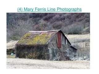 (4) Mary Ferris Line Photographs