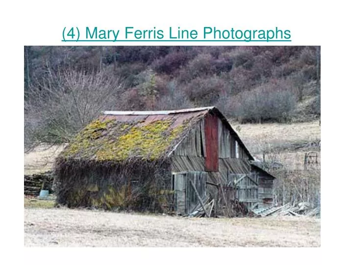 4 mary ferris line photographs