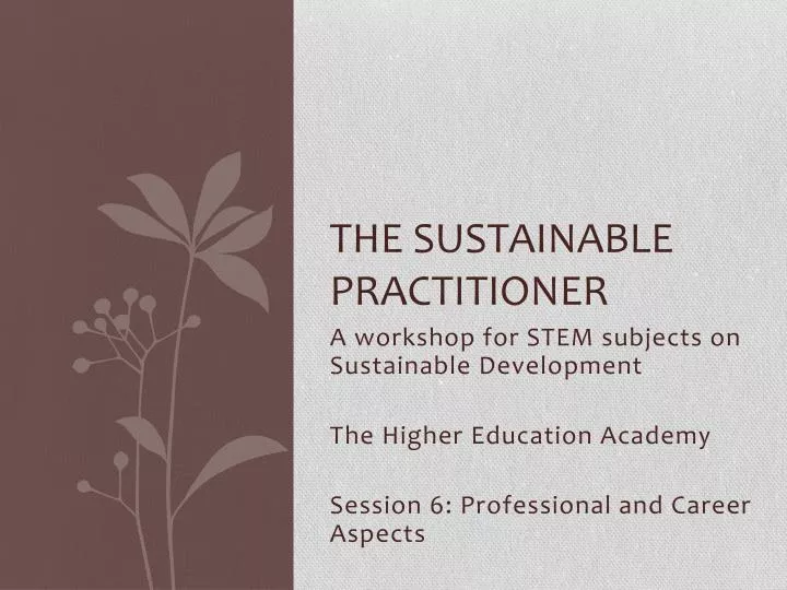 the sustainable practitioner