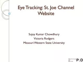 Eye Tracking: St. Joe Channel Website