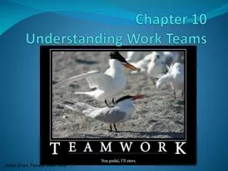 Chapter 10 Understanding Work Teams